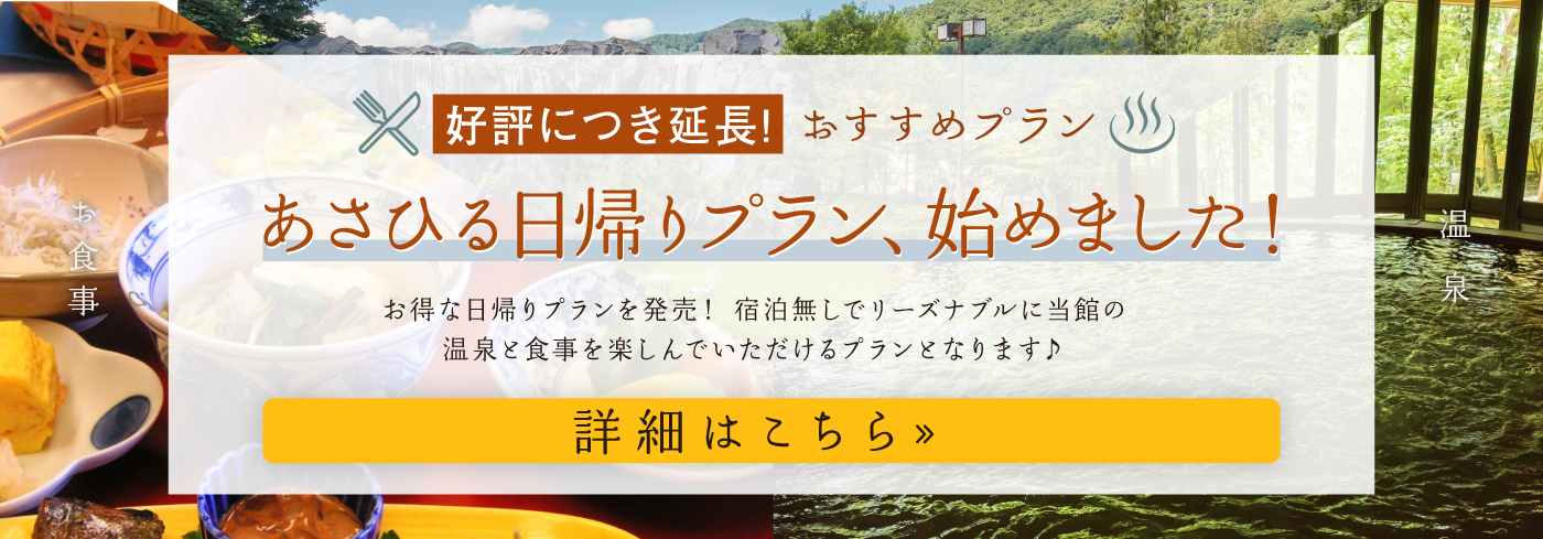 2月3月限定で日帰りプランを発売!